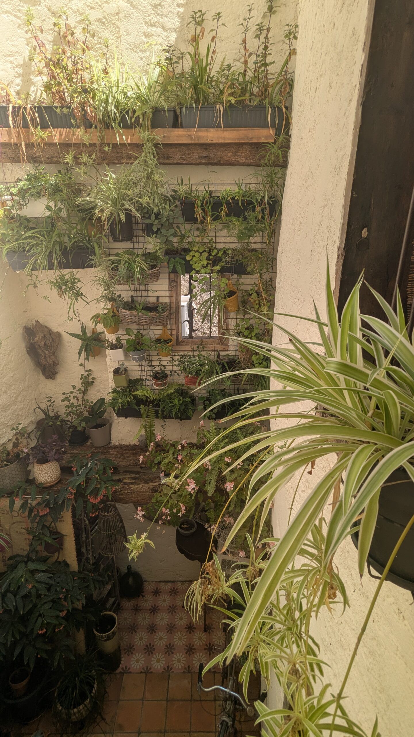 le patio à gruissan