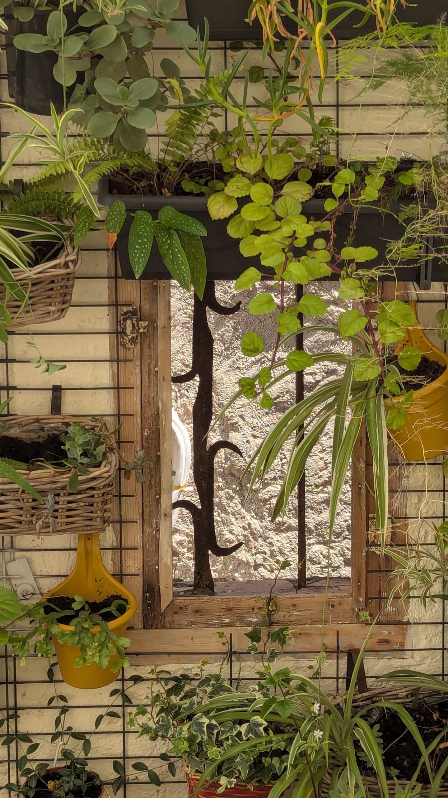 patio à Gruissan